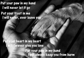 Put your paw in my hand...