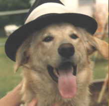 Fred - WebWolf's Founder